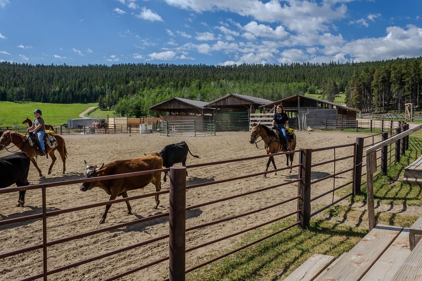 Paradise Guest Ranch photo 7