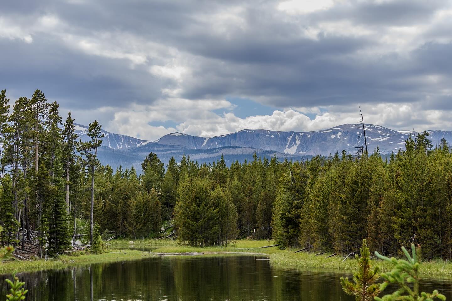 Paradise Guest Ranch photo 8