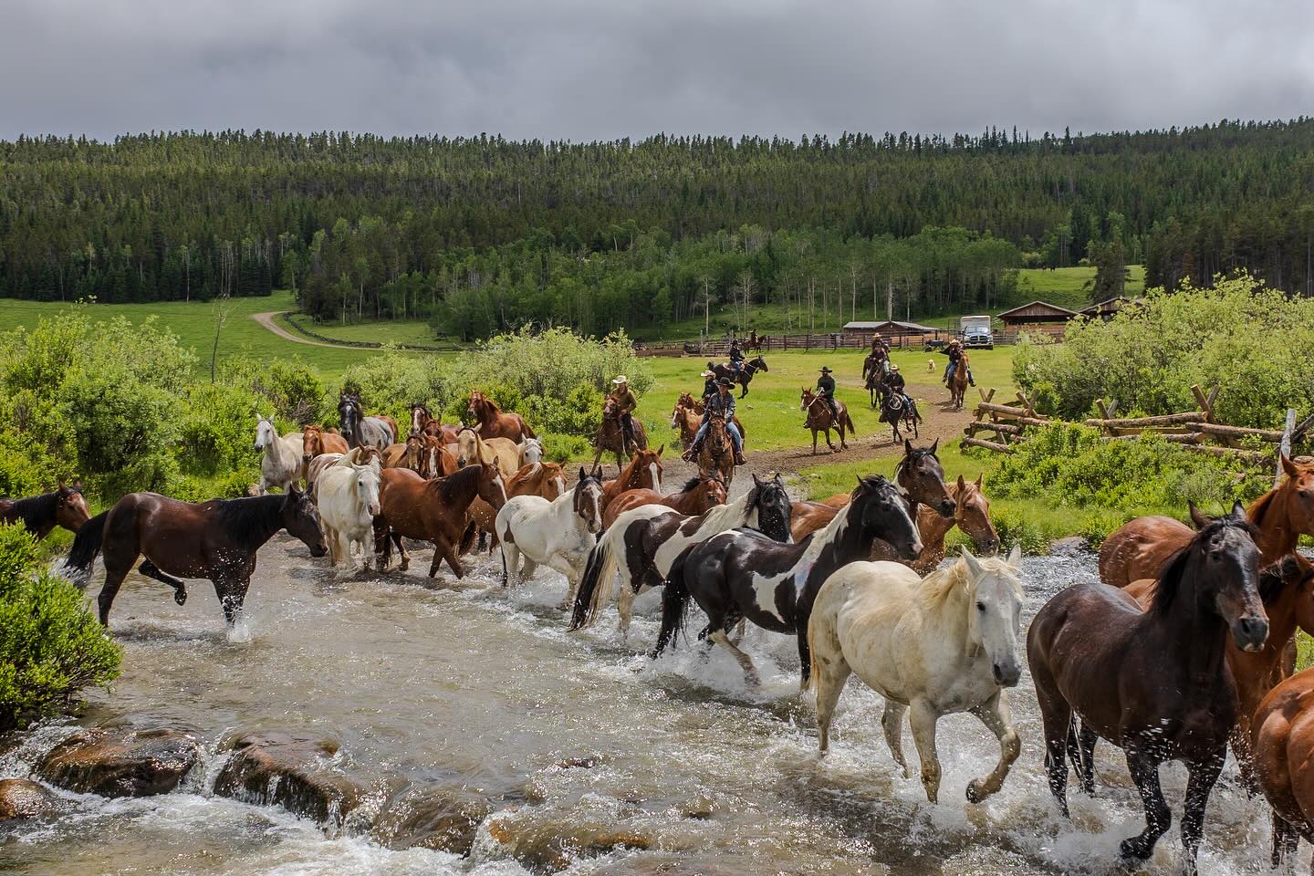 Paradise Guest Ranch photo 10