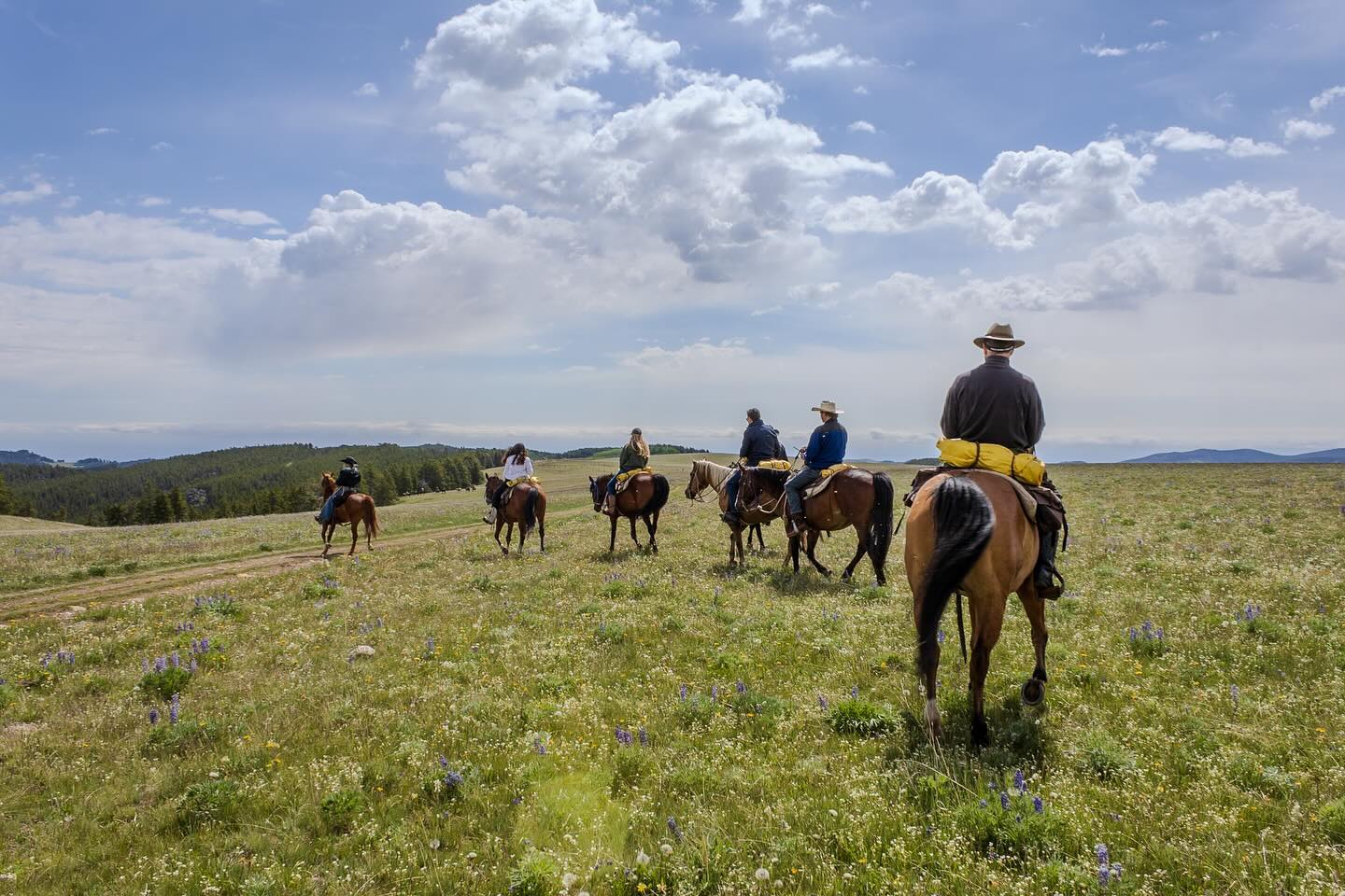 Paradise Guest Ranch photo 12