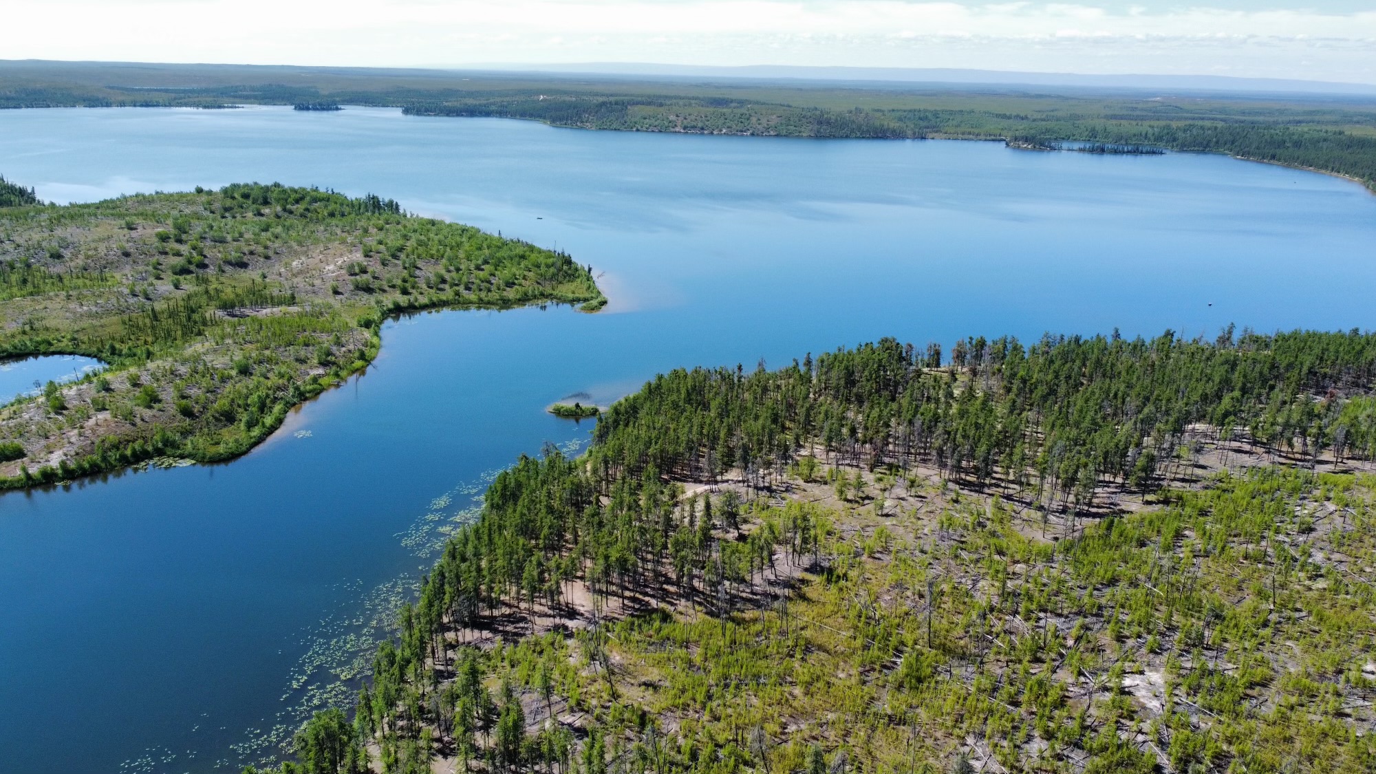 Pearson Lake Outfitters photo 6