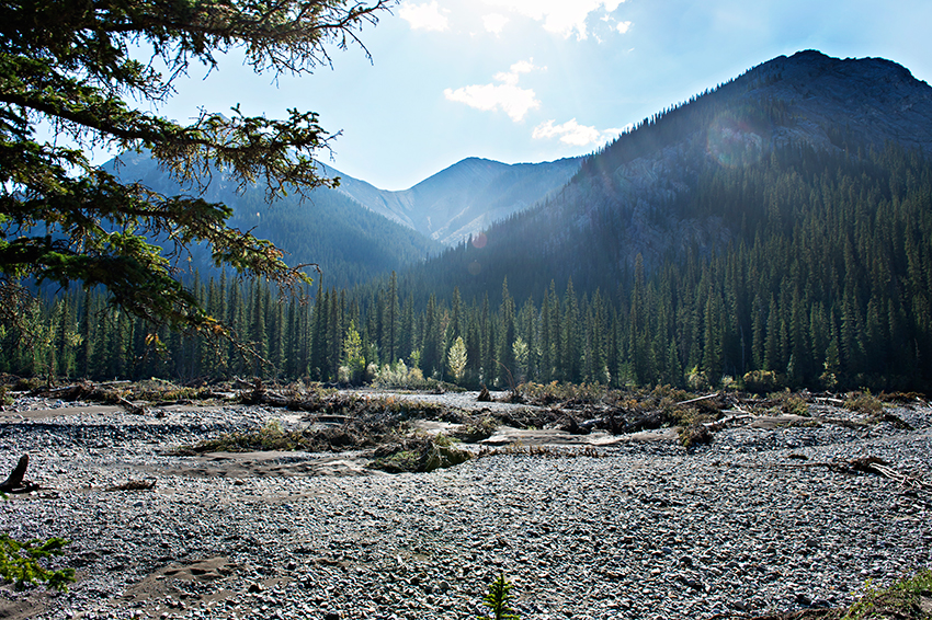 The Lodge at Panther River photo 10