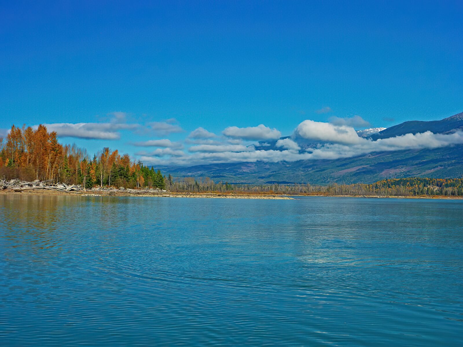 Deep Creek Lodge photo 12
