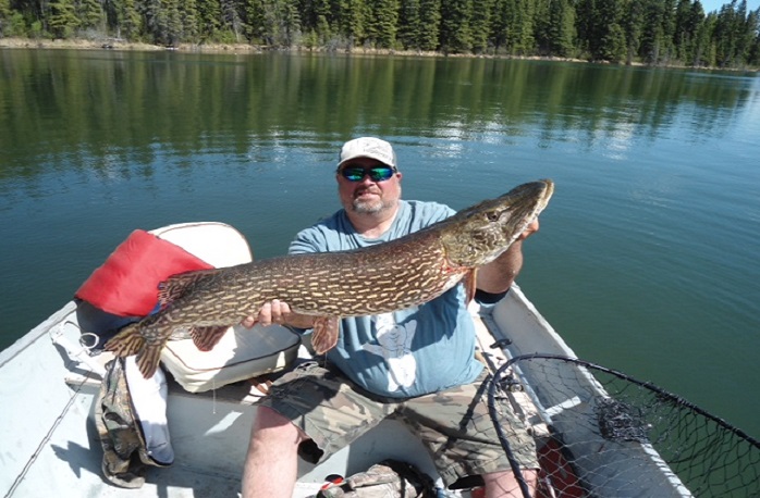 Pine Point Lodge photo 5