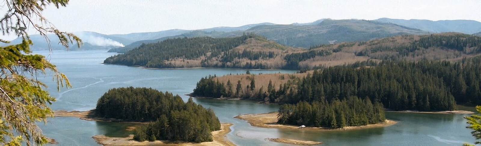 Haida Gwaii Safaris (formally Queen Charlotte Safaris) photo 7