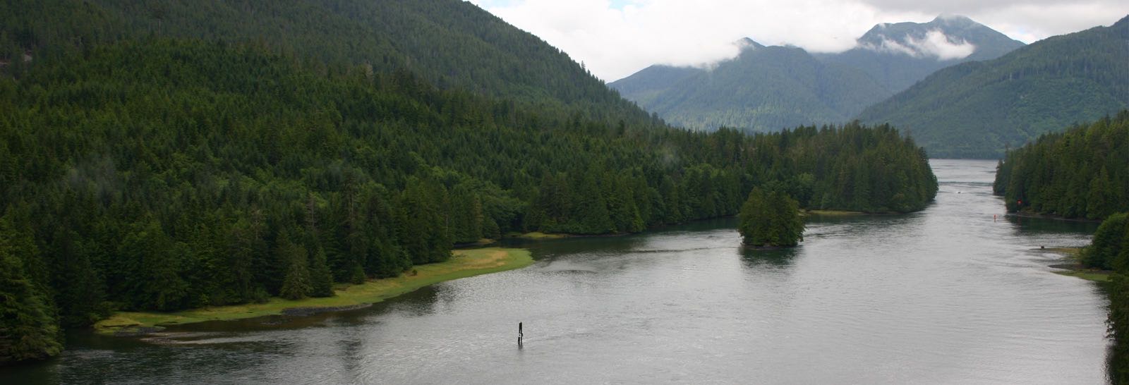 Haida Gwaii Safaris (formally Queen Charlotte Safaris) photo 3