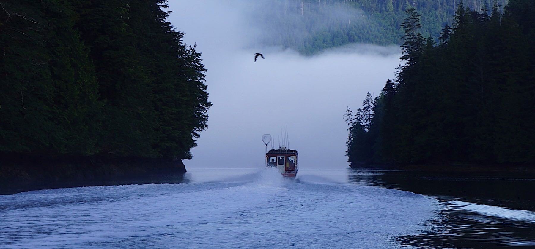 Haida Gwaii Safaris (formally Queen Charlotte Safaris) photo 5