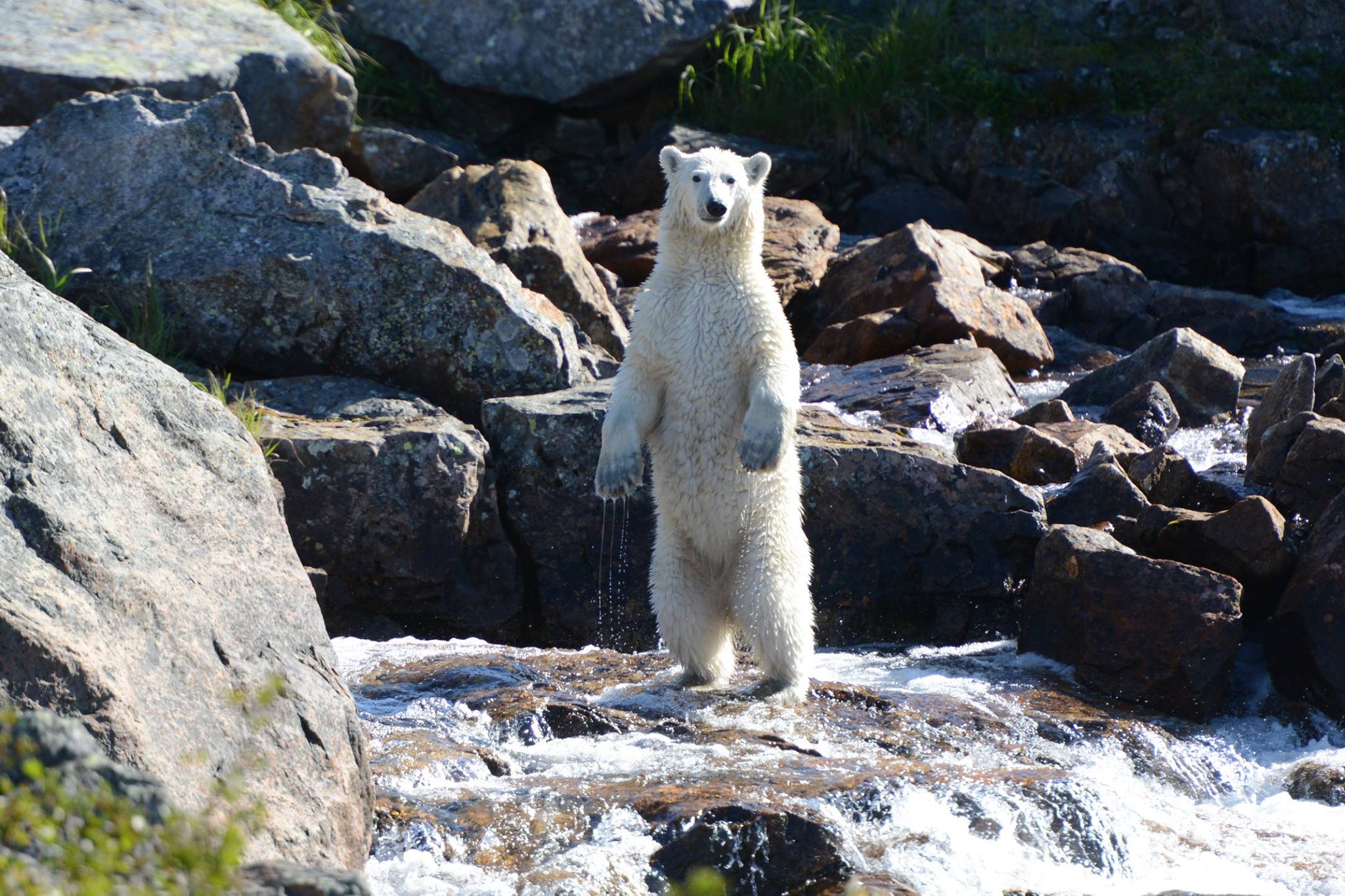 Rapid Lake Lodge photo 10