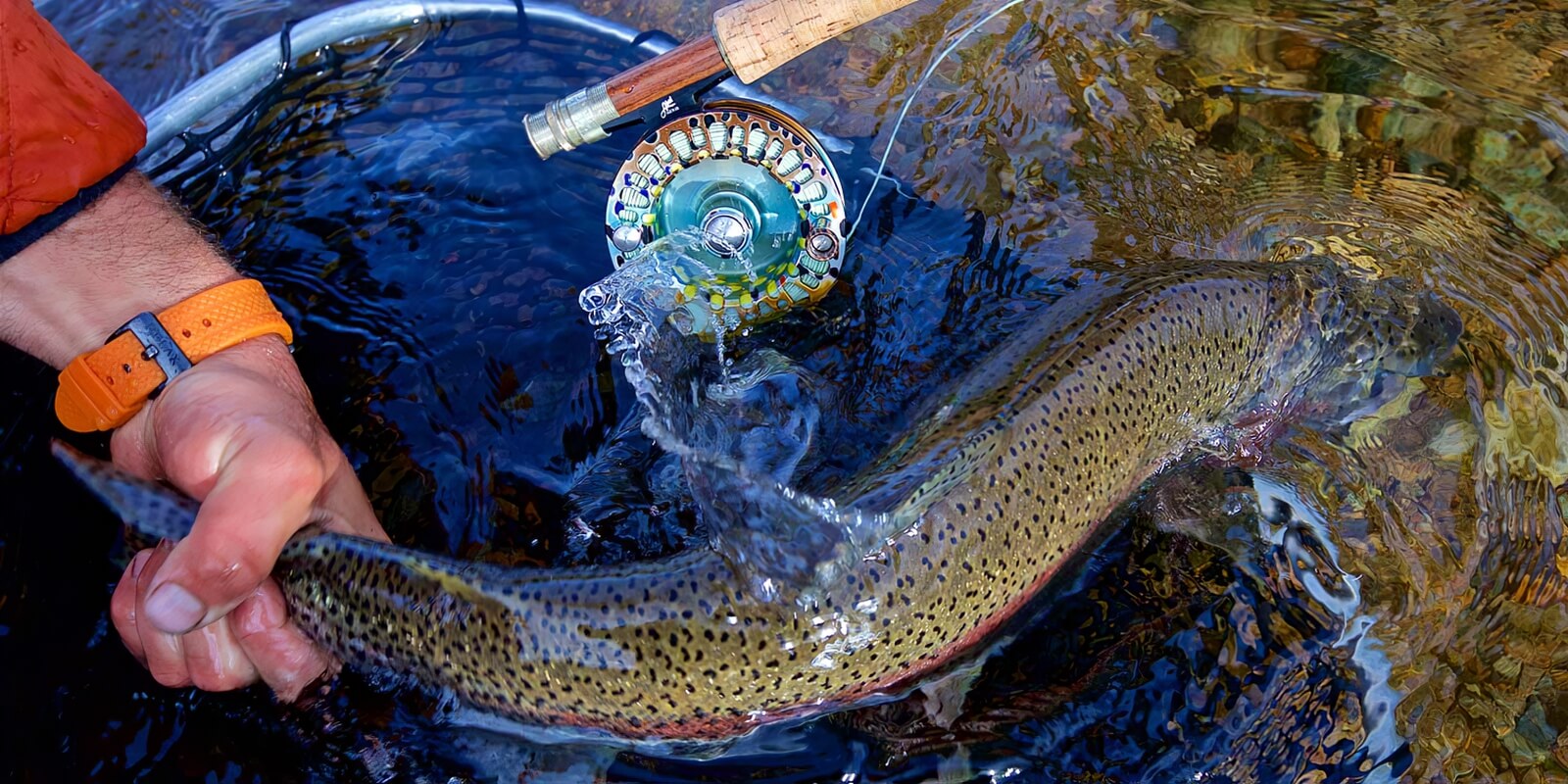 Rainbow King Lodge photo 10