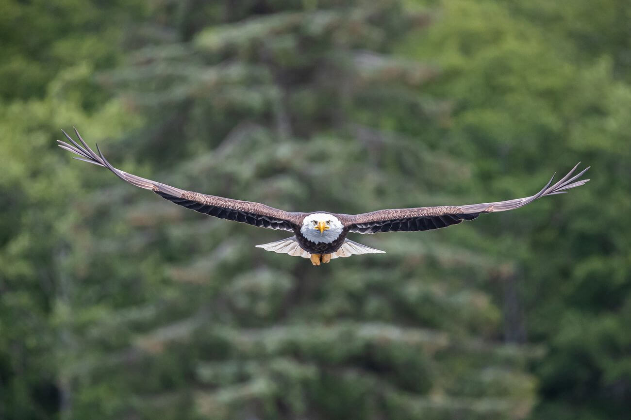 Reel Alaska Fishing Charters photo 9