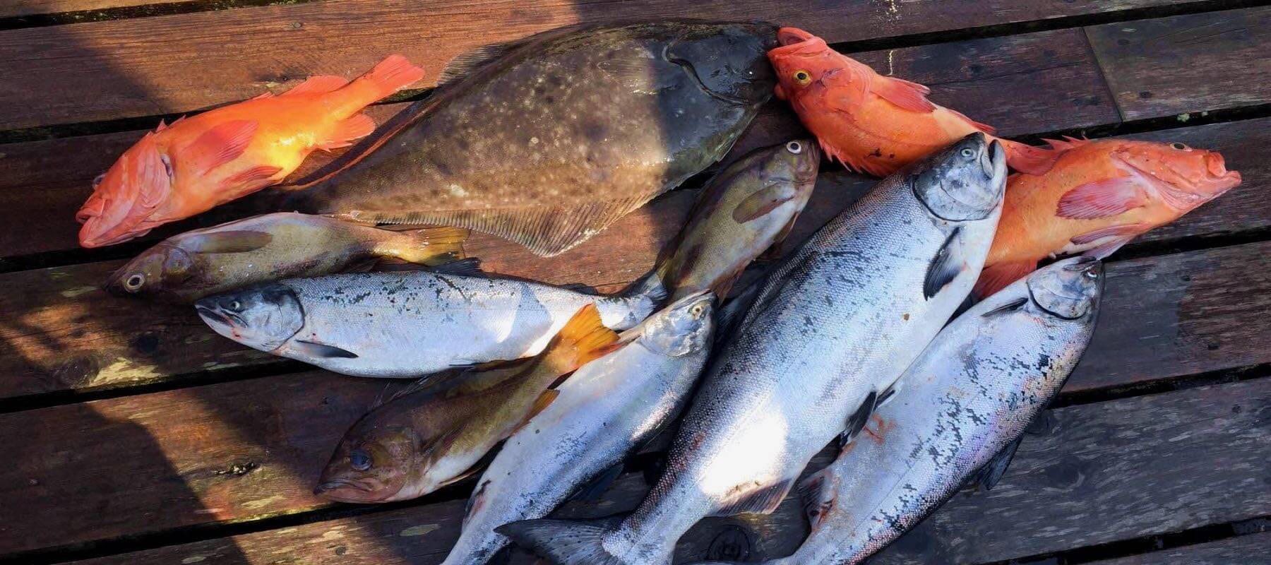 Reel Crazy Fishing Charters