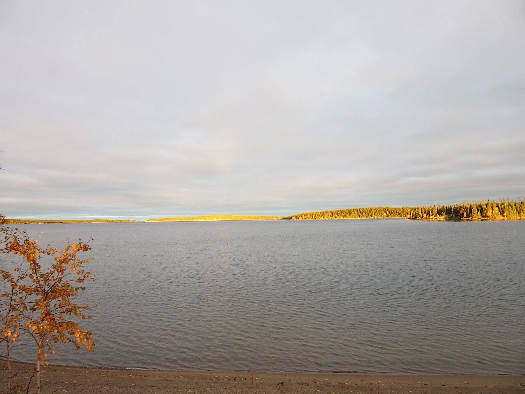 Reindeer Lake Lodge photo 11
