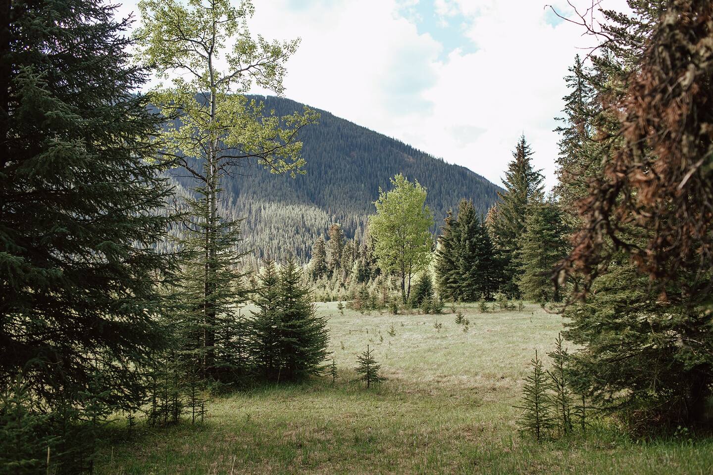 Rock Lake Earth Lodge photo 4