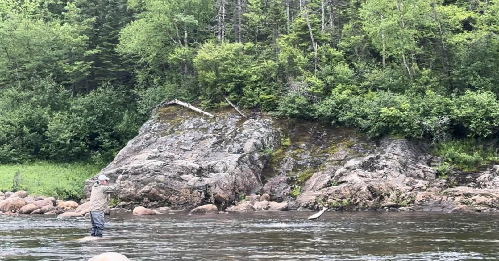 Salmon Hole Lodge photo 7