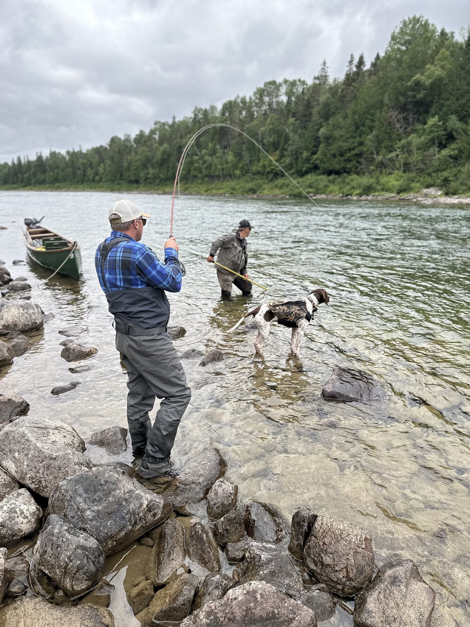 The Salmon Lodge photo 13