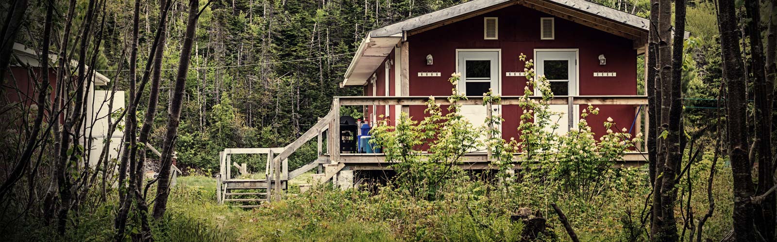 Salmon Hole Lodge photo 4