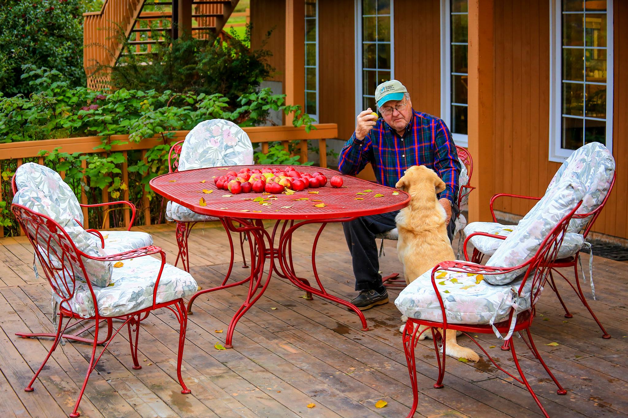 Salmon Pool Inn & Cottages photo 4