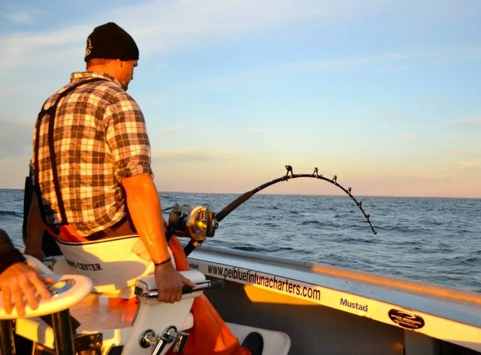 SeaBros Fishing Lodge photo 3