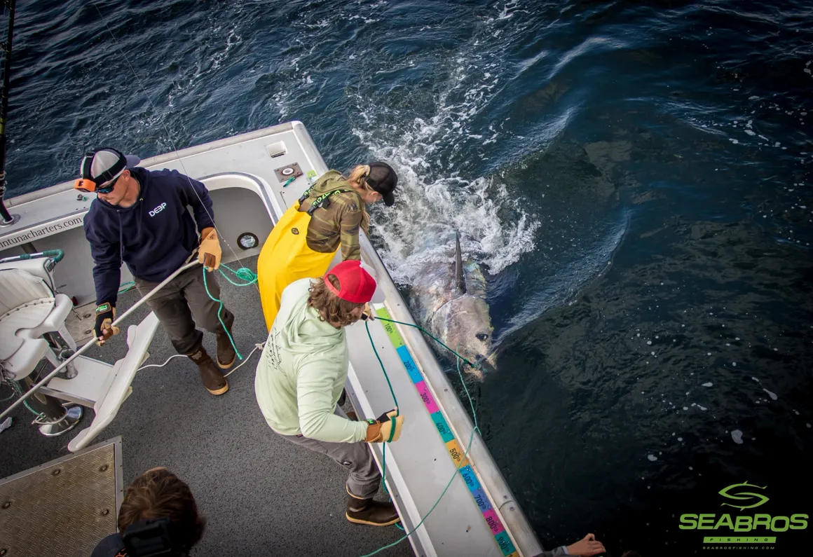 SeaBros Fishing Lodge photo 9