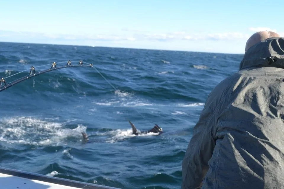 SeaBros Fishing Lodge photo 10