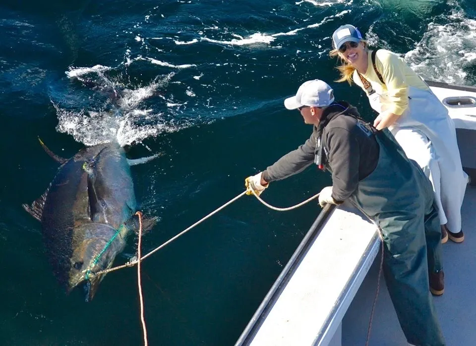 SeaBros Fishing Lodge photo 12
