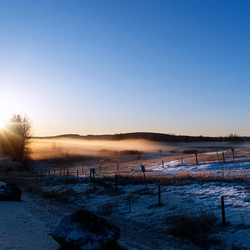 Schott’s lake Resort photo 13