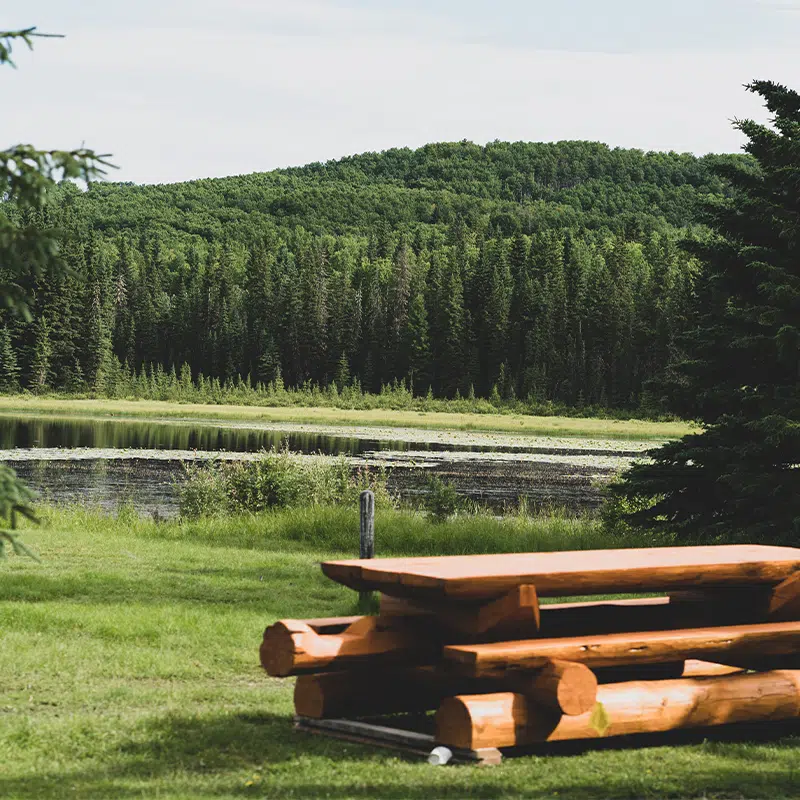 Schott’s lake Resort photo 6
