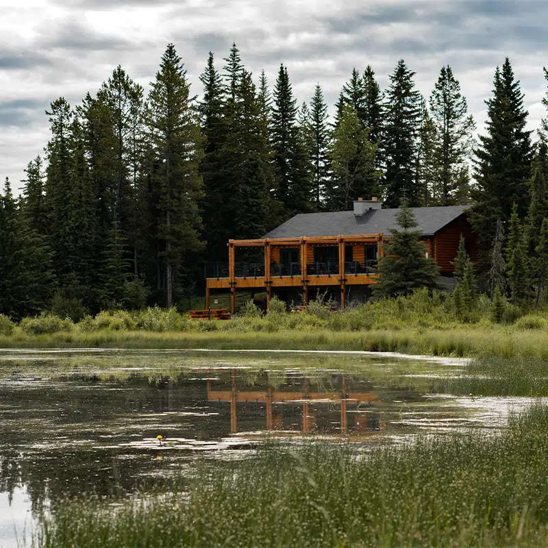 Schott’s lake Resort photo 2