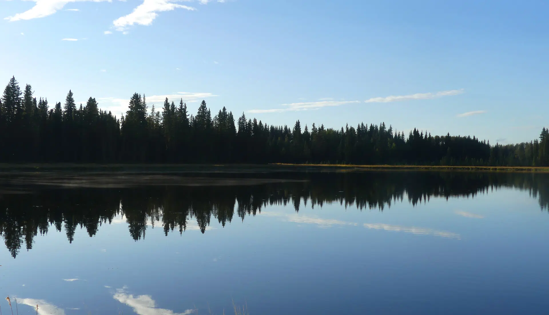 Schott’s lake Resort photo 7