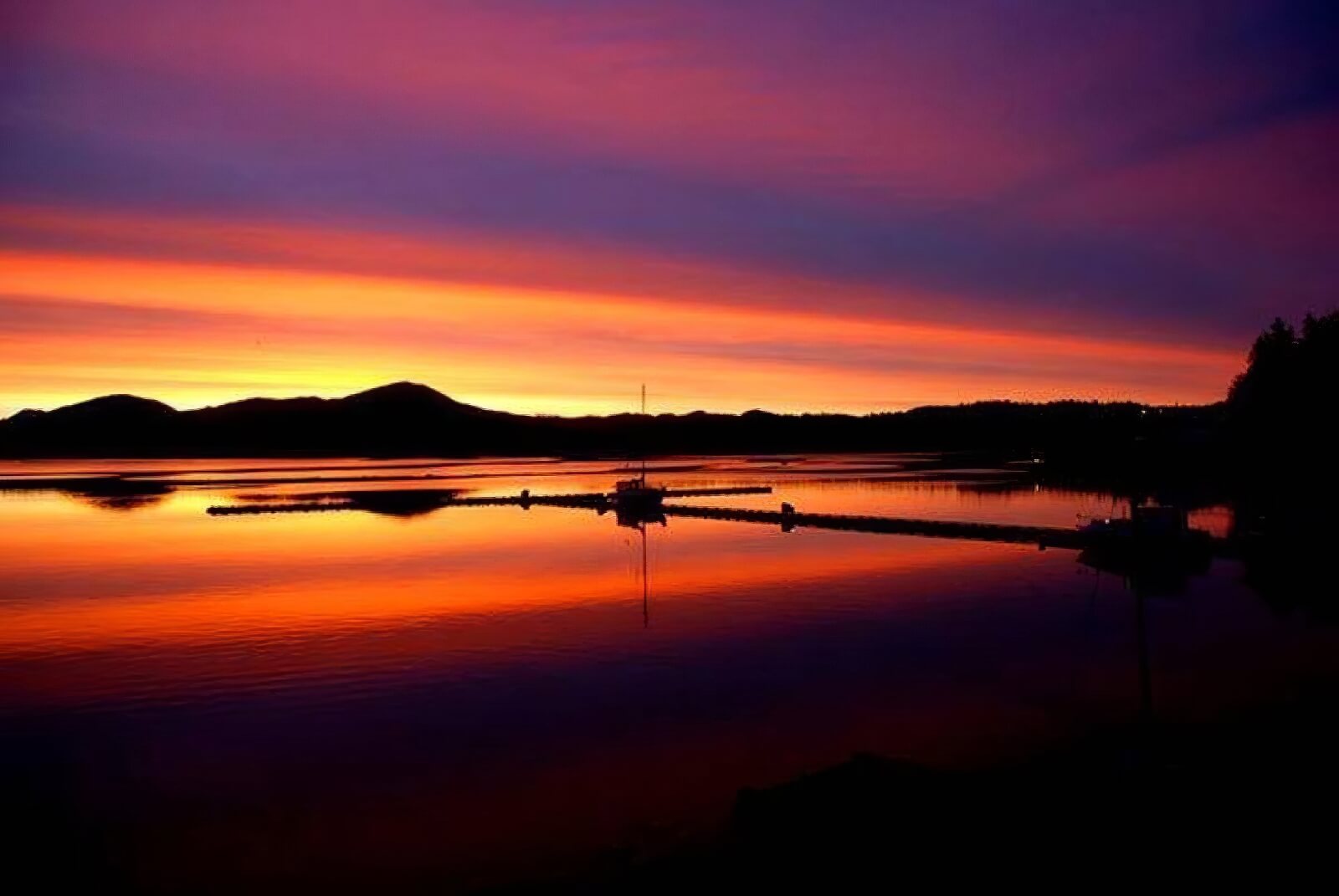 Shearwater Resort & Marina photo 13