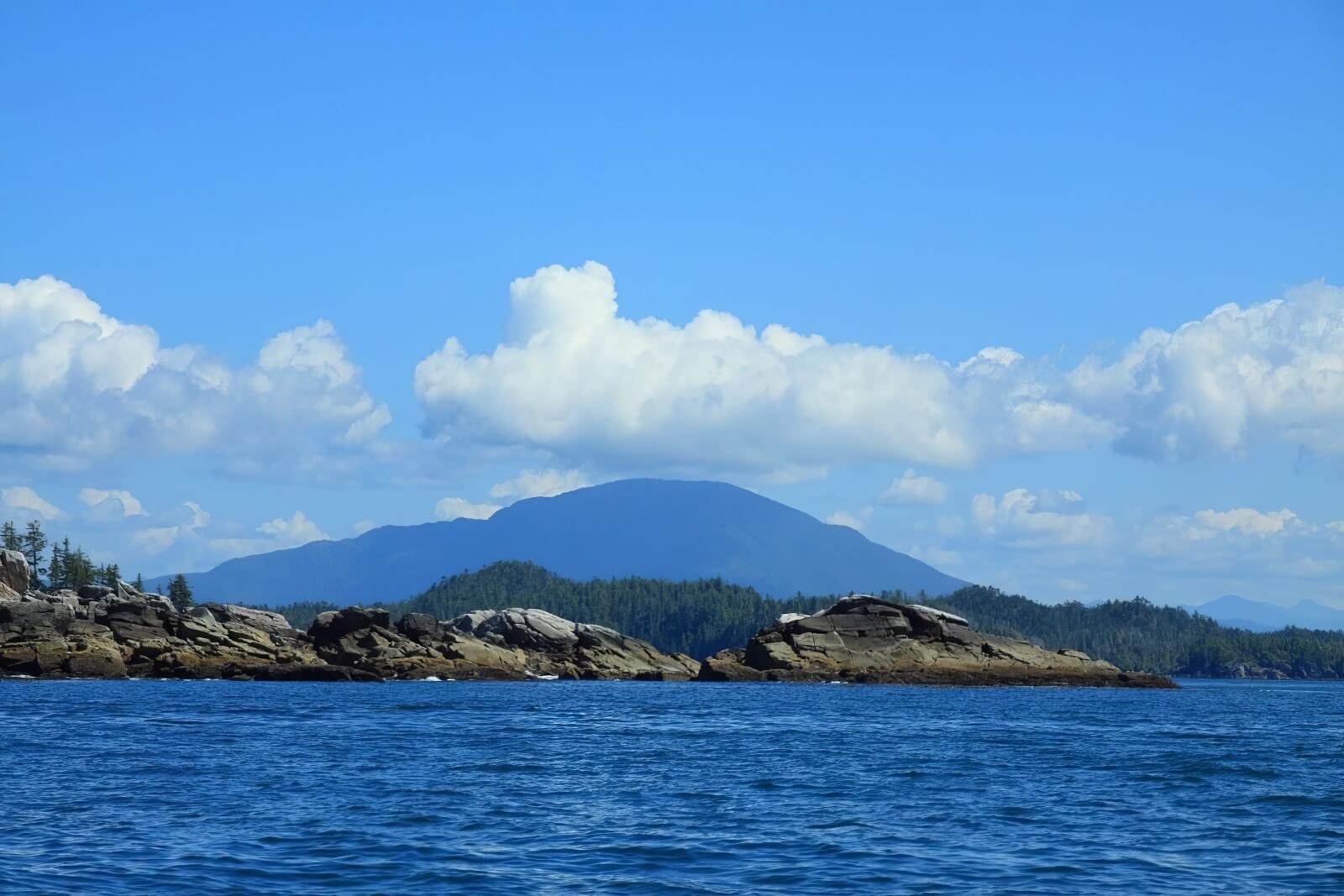 Shearwater Resort & Marina photo 6