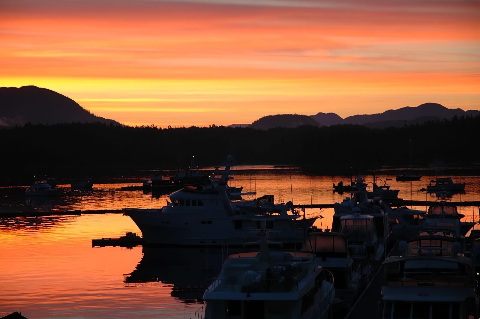 Shearwater Resort & Marina photo 7