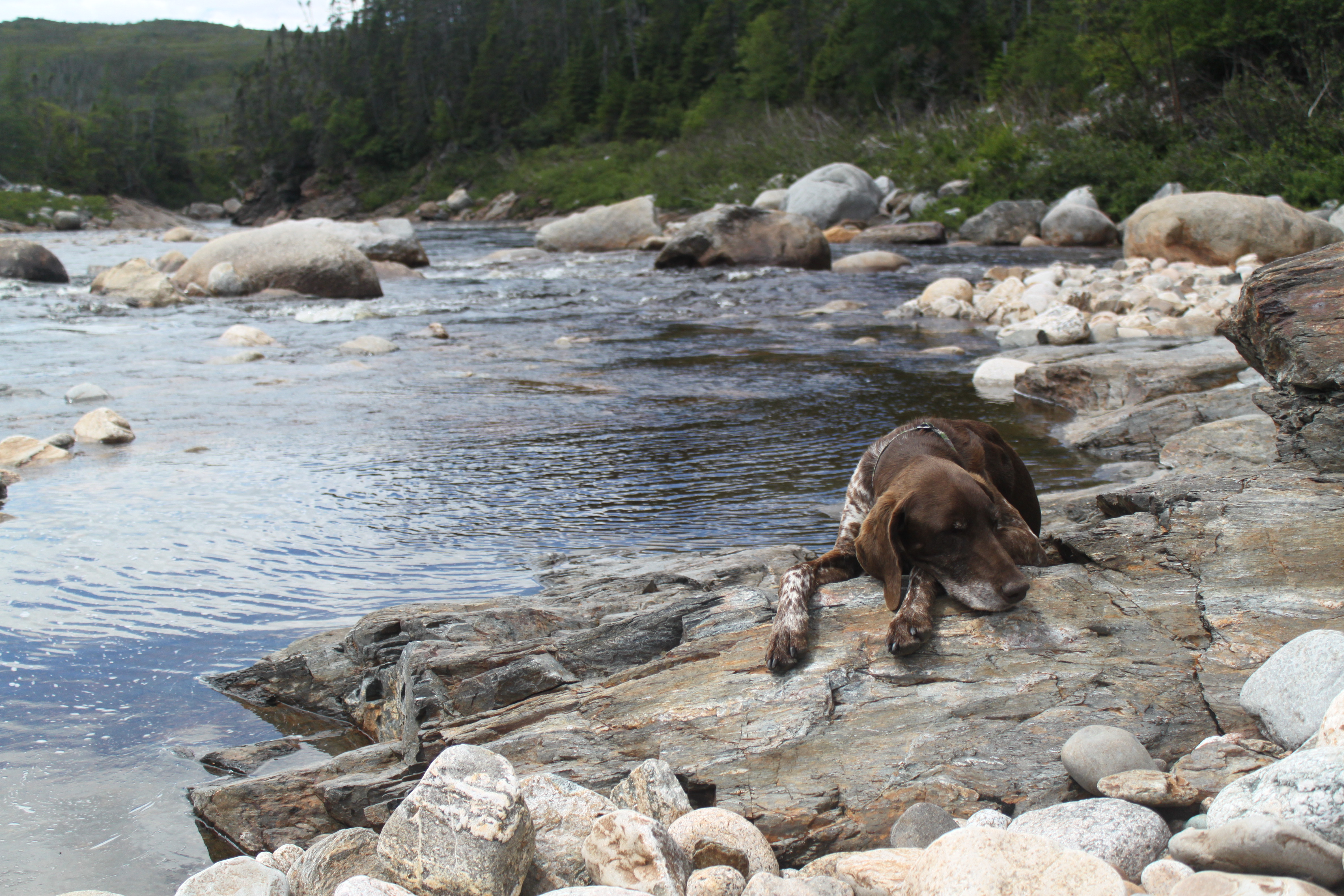 Silver Bullet Lodge photo 6