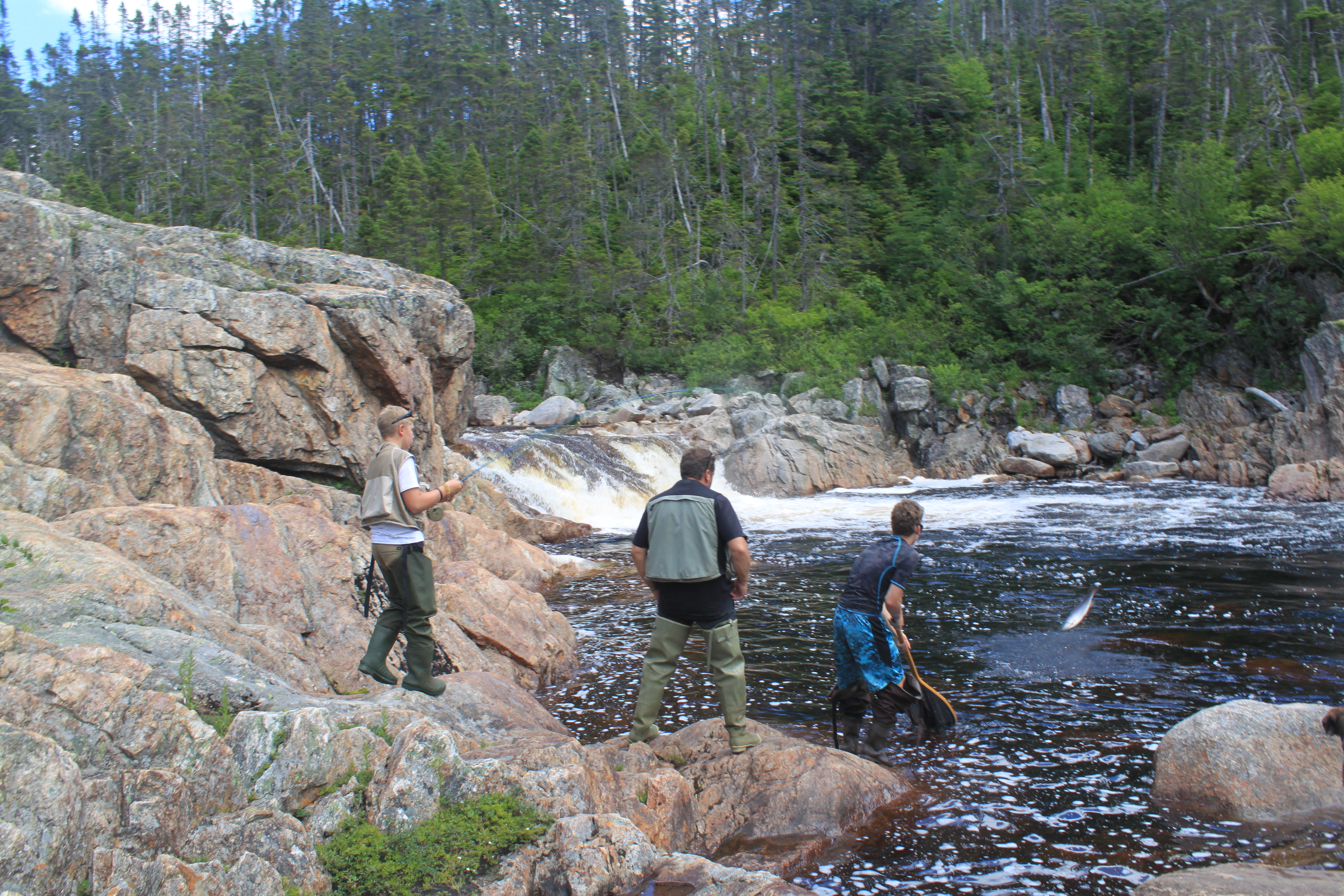 Silver Bullet Lodge photo 9