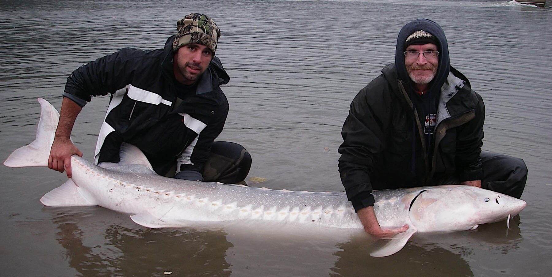Silversides Fishing Adventures photo 5