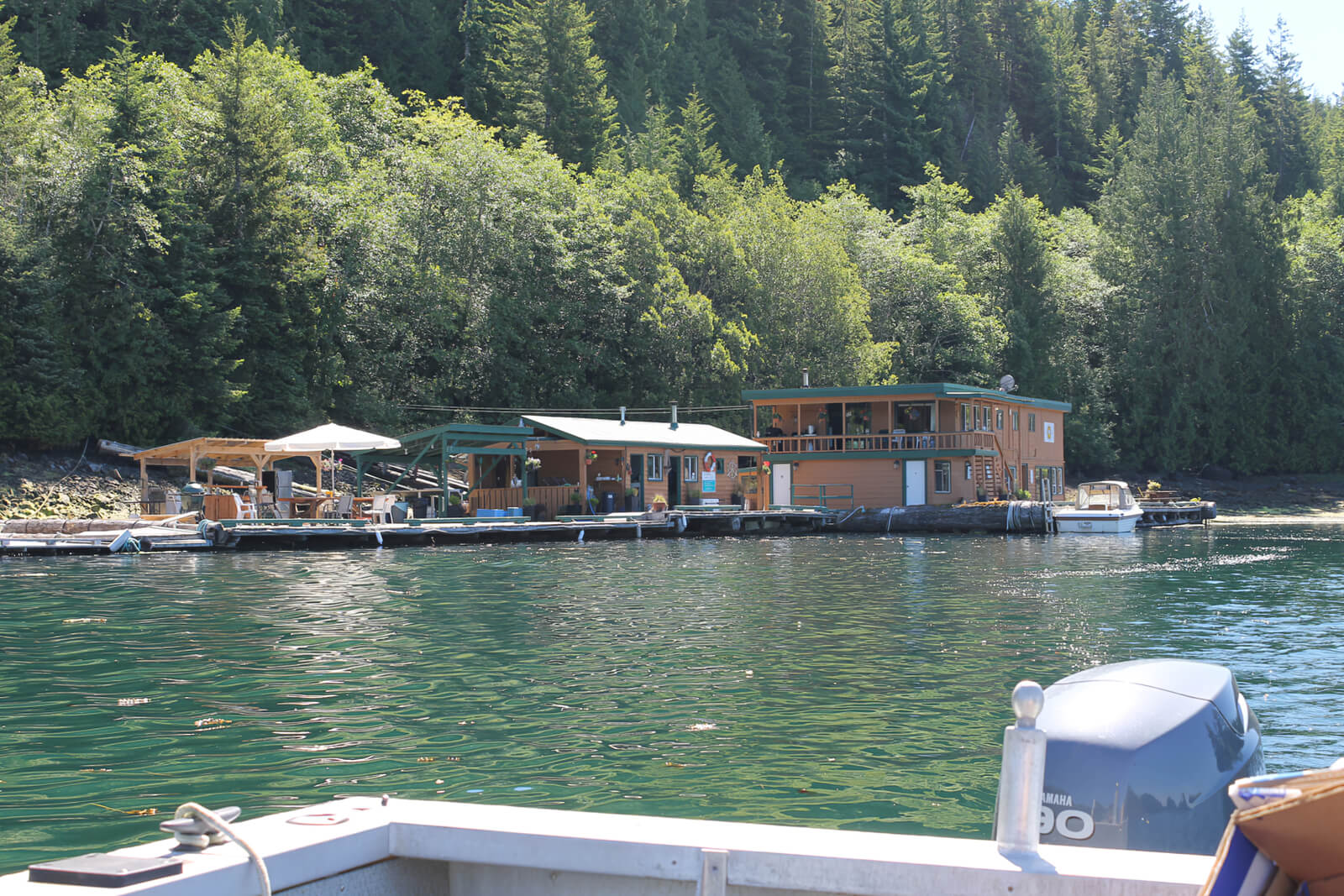 Slam Bang Lodge photo 5
