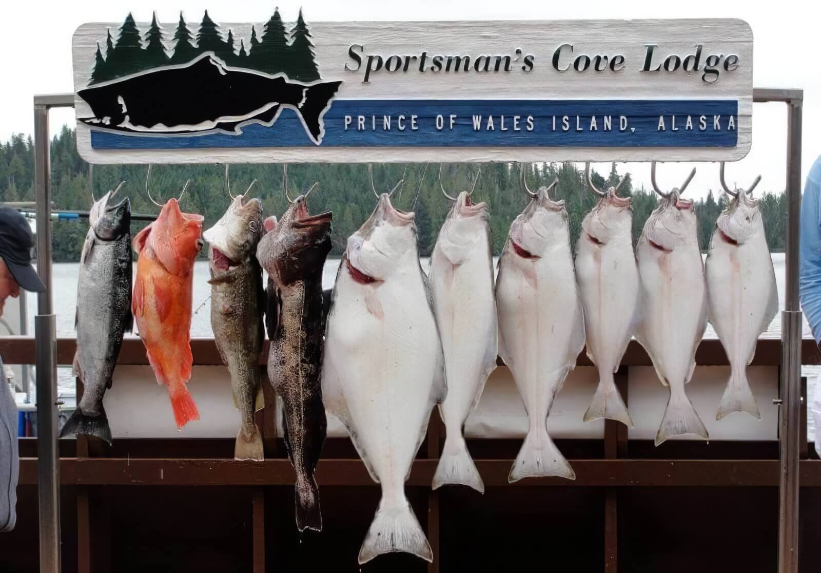 Sportsman’s Cove Lodge photo 6