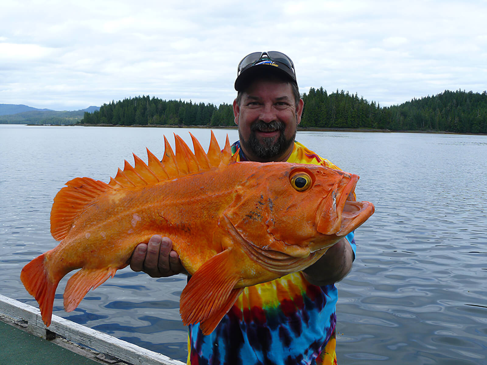 Sportsman’s Cove Lodge photo 2