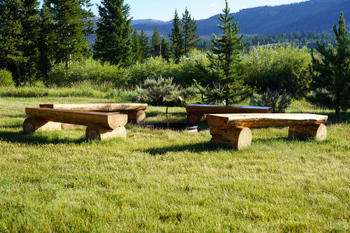 T-Cross Ranch photo 6
