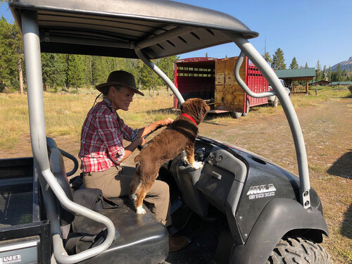 T-Cross Ranch photo 4