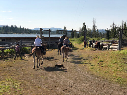 T-Cross Ranch photo 10