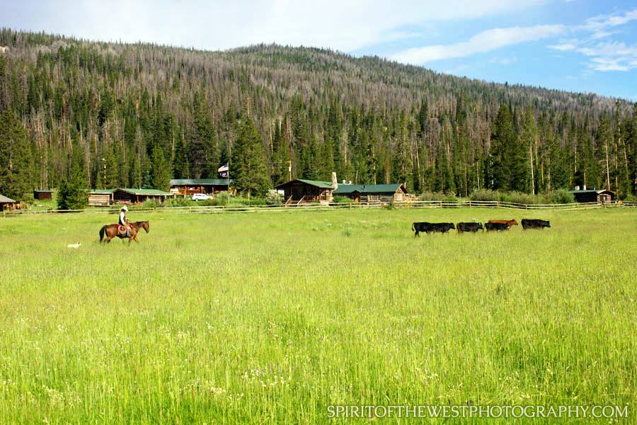 T-Cross Ranch photo 7