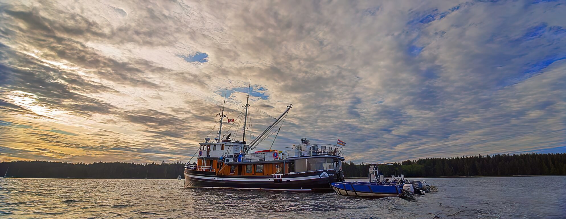 Pacific Tugboat Adventures photo 13