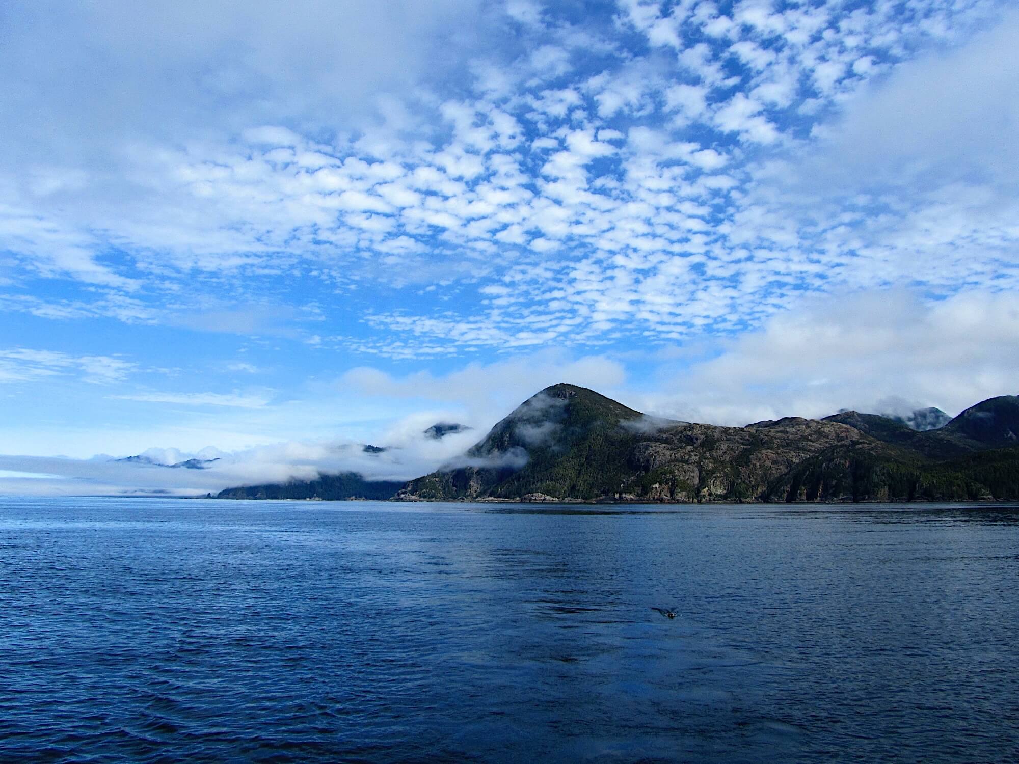 West Wave Fishing photo 2