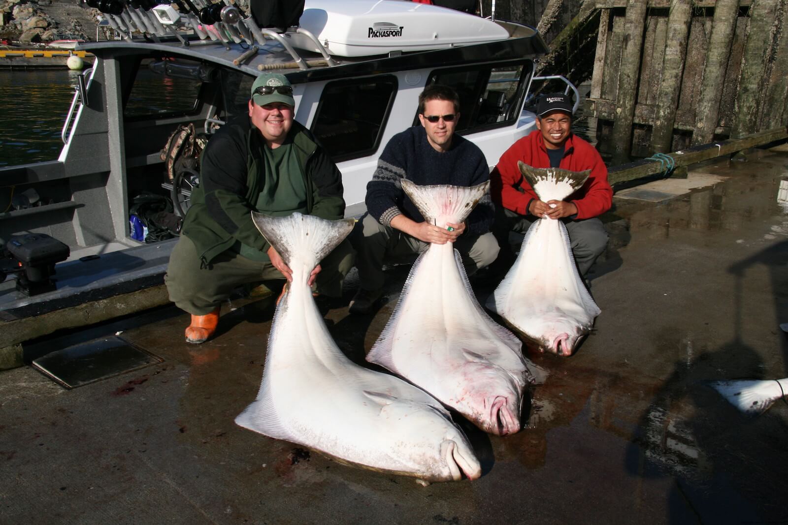 West Wave Fishing photo 7