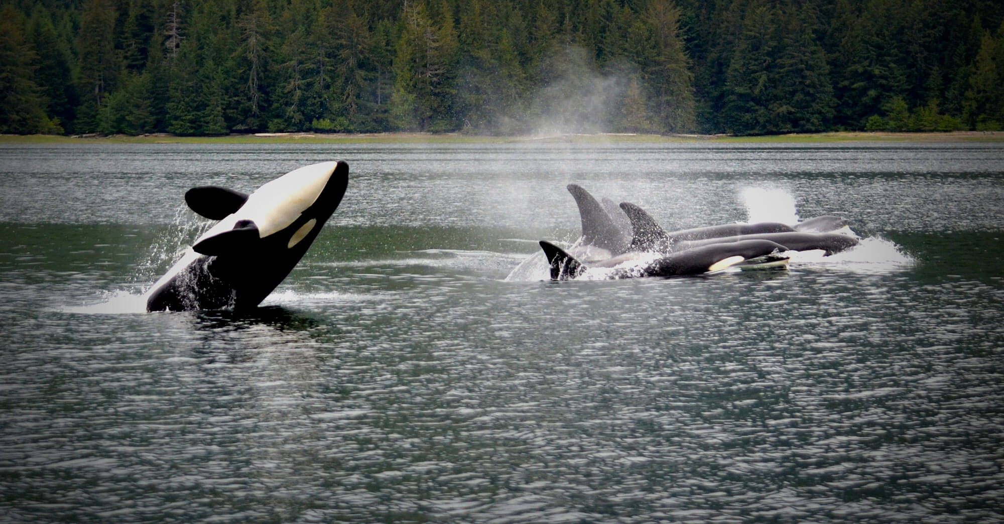 West Wave Fishing photo 10