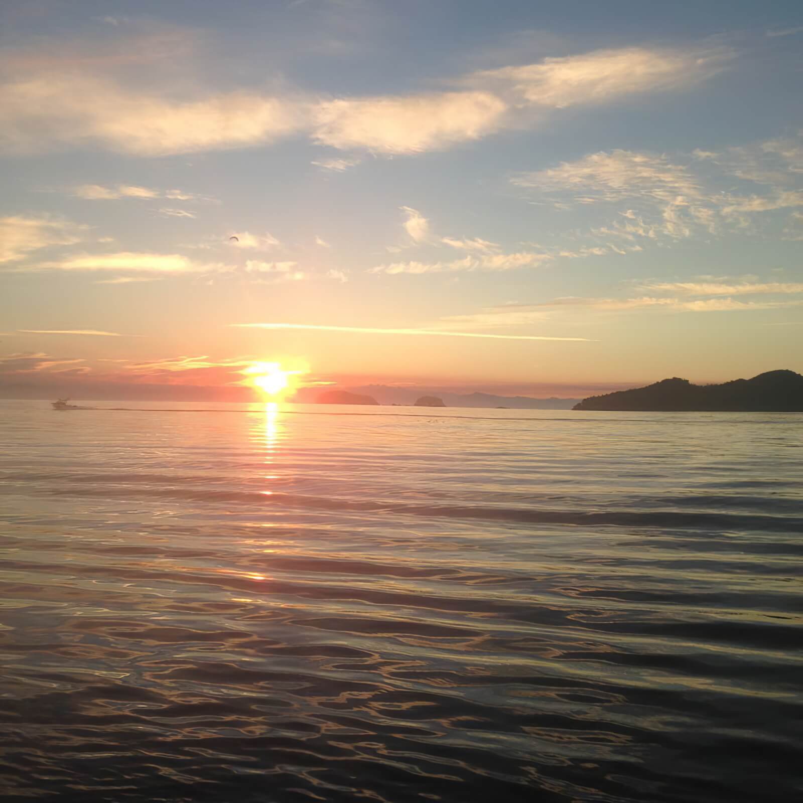 Wicked Salmon Sportsfishing photo 8