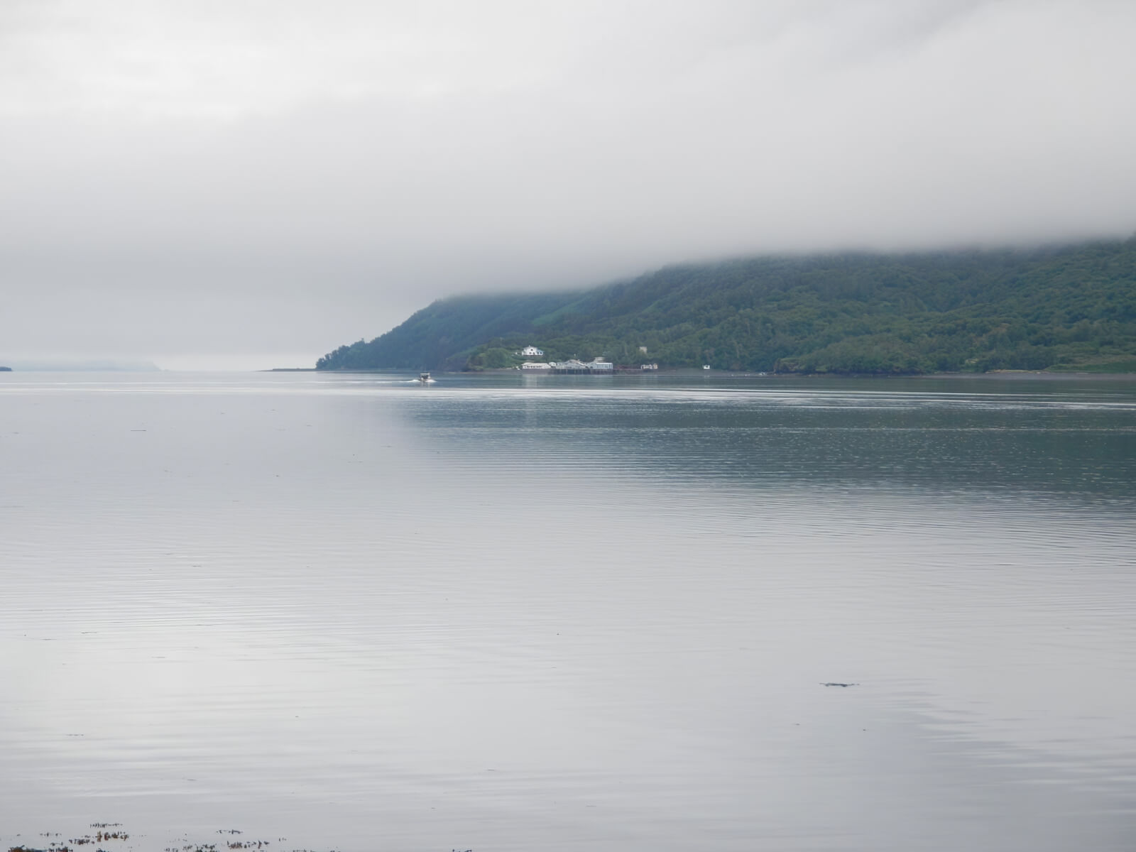 Zachar Bay Lodge photo 13